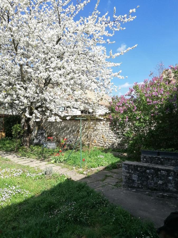 Soisy-sur-EcoleChez Maryleneアパートメント エクステリア 写真